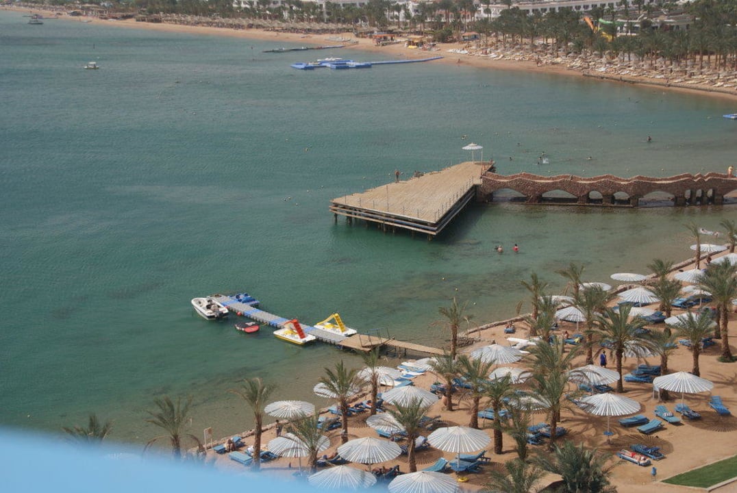 Widok na plaze Pickalbatros Aqua Blu Resort - Sharm El Sheikh