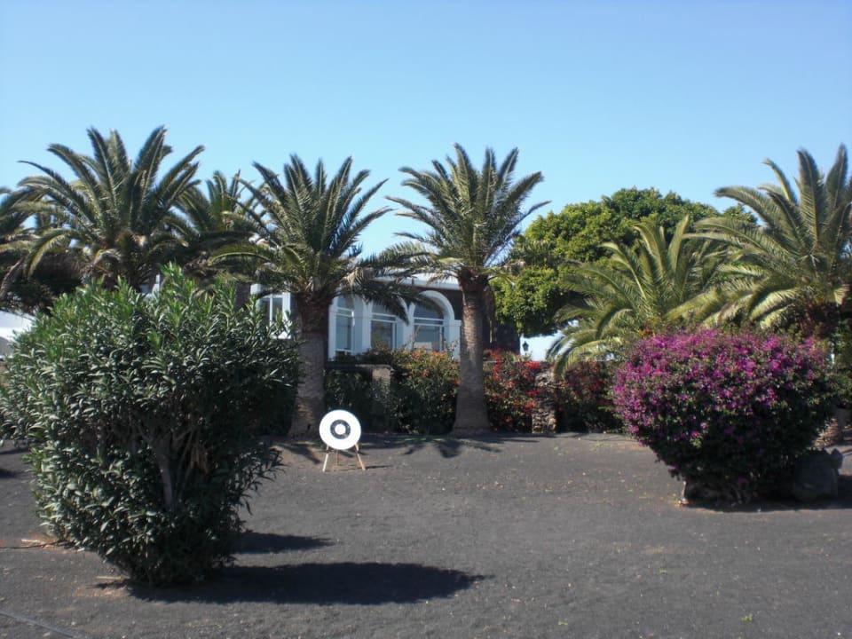 Garten Relaxia Olivina