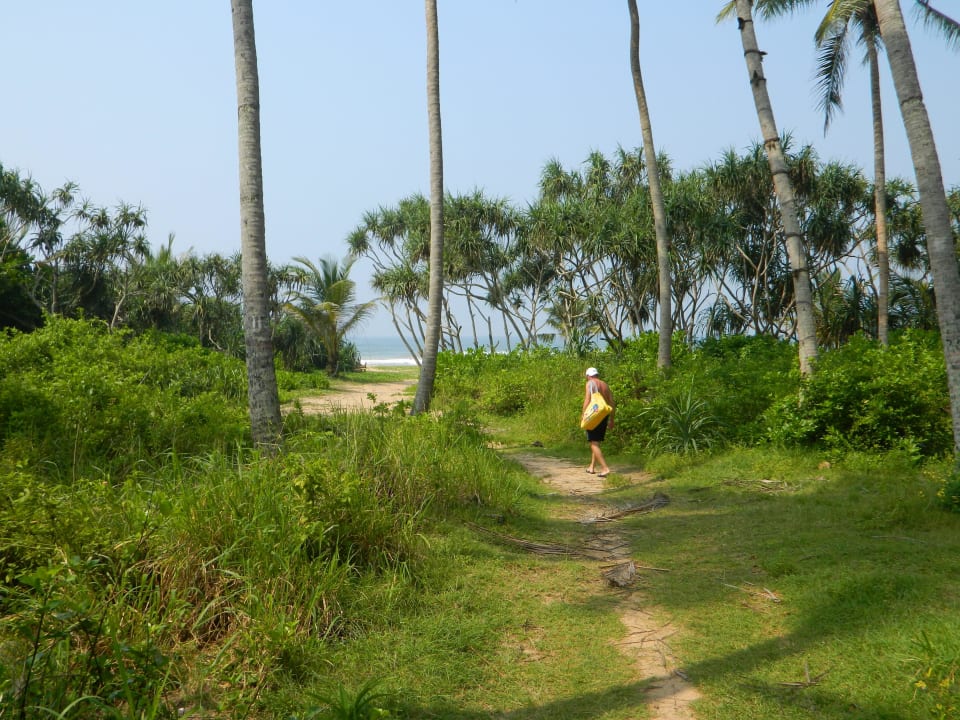 Gleich am Ziel Hotel Bentota Village