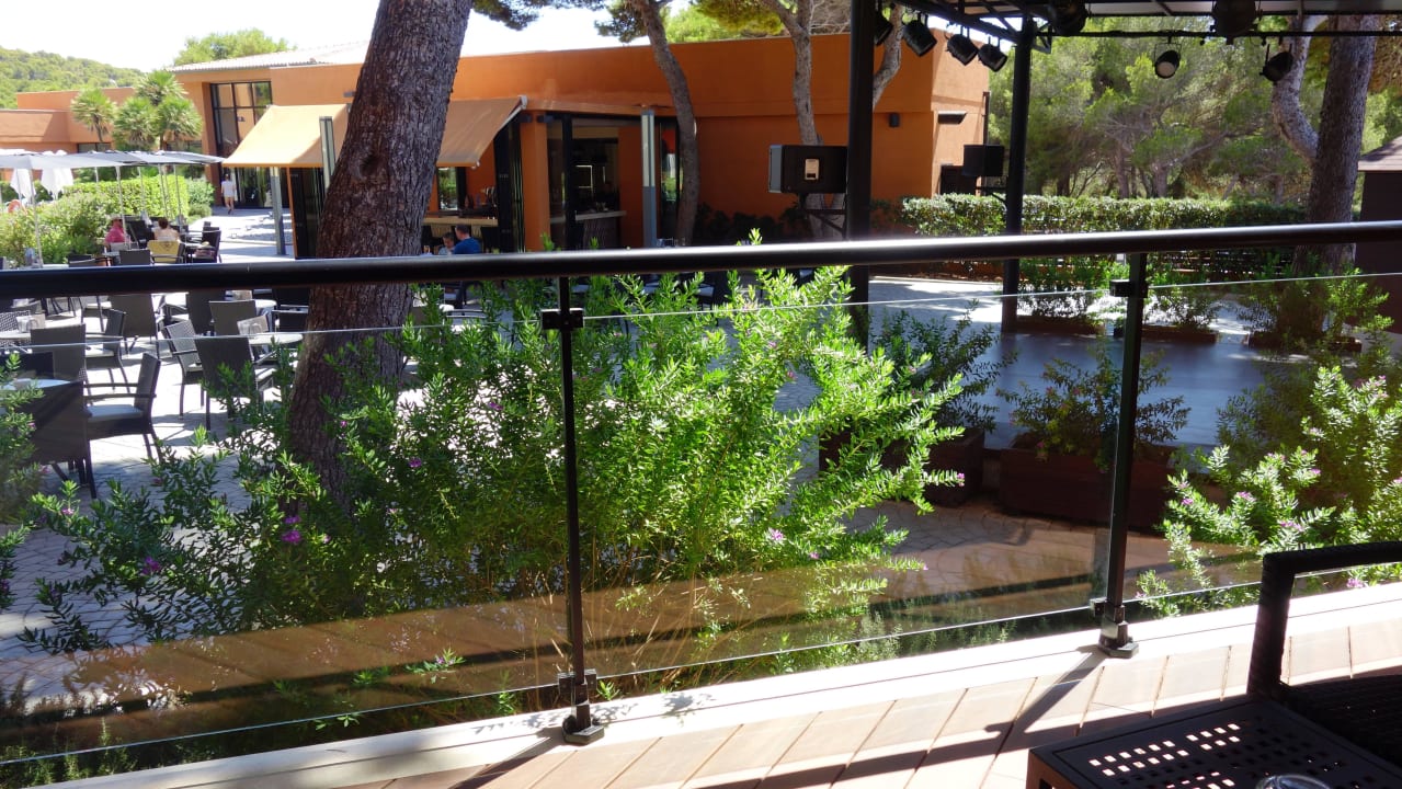 Terrasse Protur Turo Pins Hotel