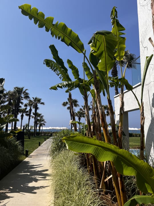 Gartenanlage Paloma Finesse