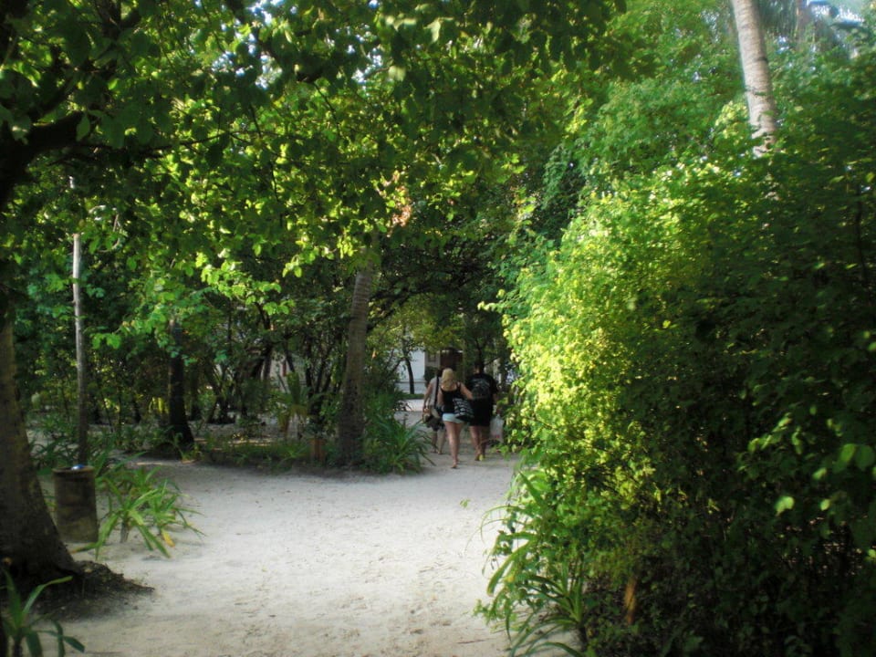 Die Inselwege 14 Tage ohne Schuhe NH Collection Maldives Reethi Resort