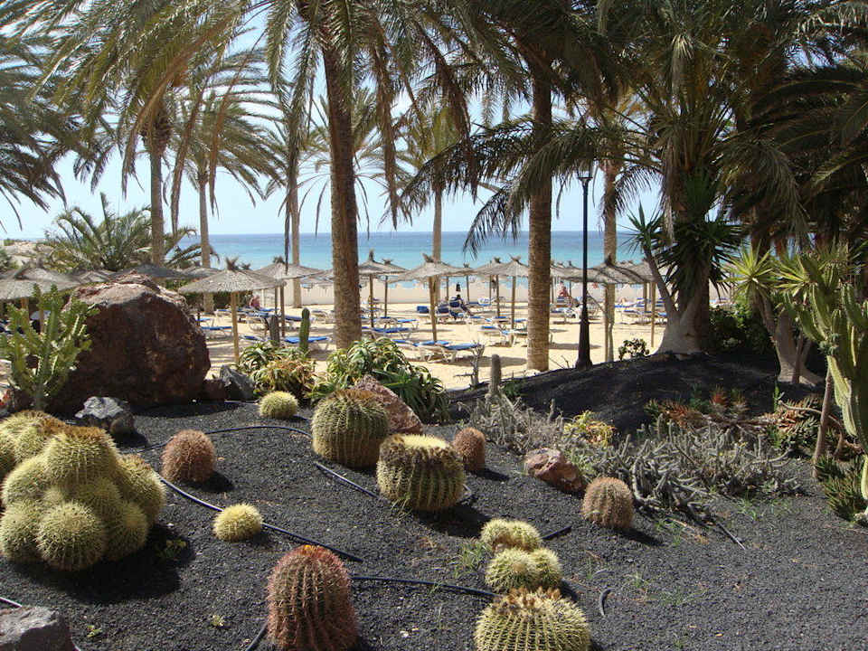 Gartenanlage SBH Costa Calma Beach Resort