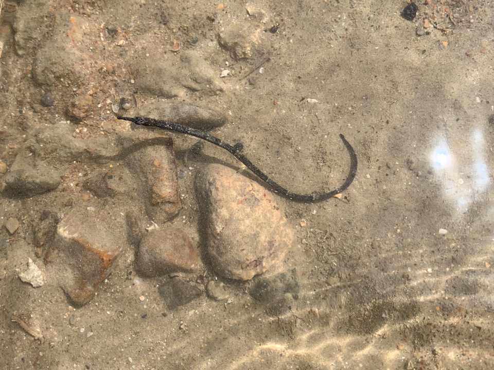 Sonstiges Sultan Bey Hotel, El Gouna