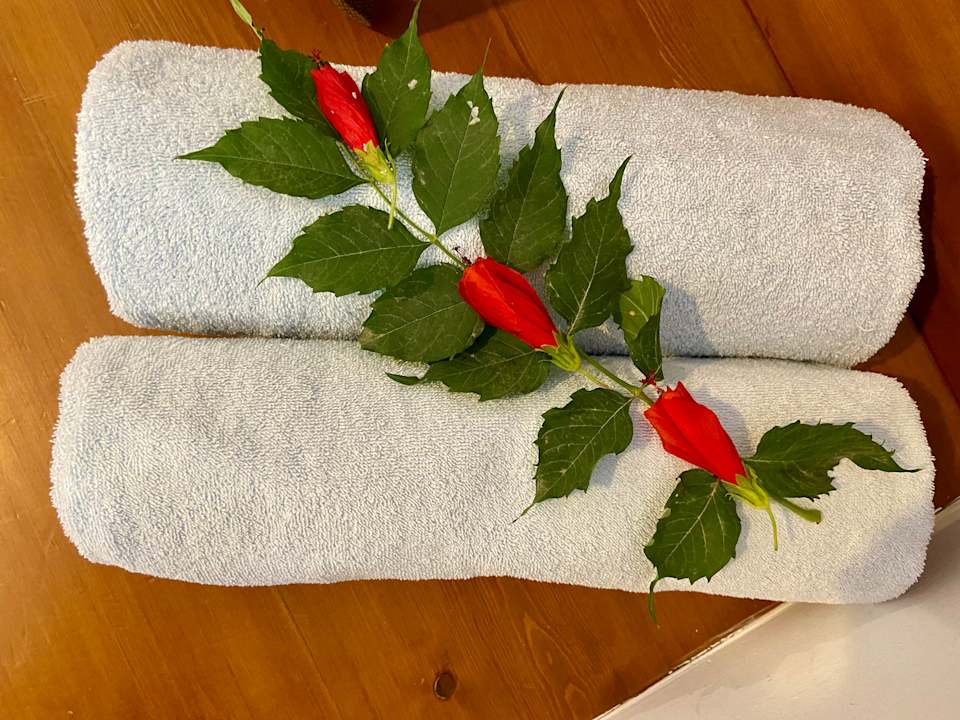 Zimmer Montana Pine Resort