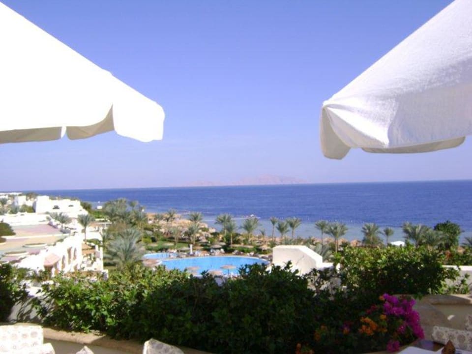 Weils so schön war gleich nochmals... Pickalbatros Royal Grand Resort - Sharm El Sheikh