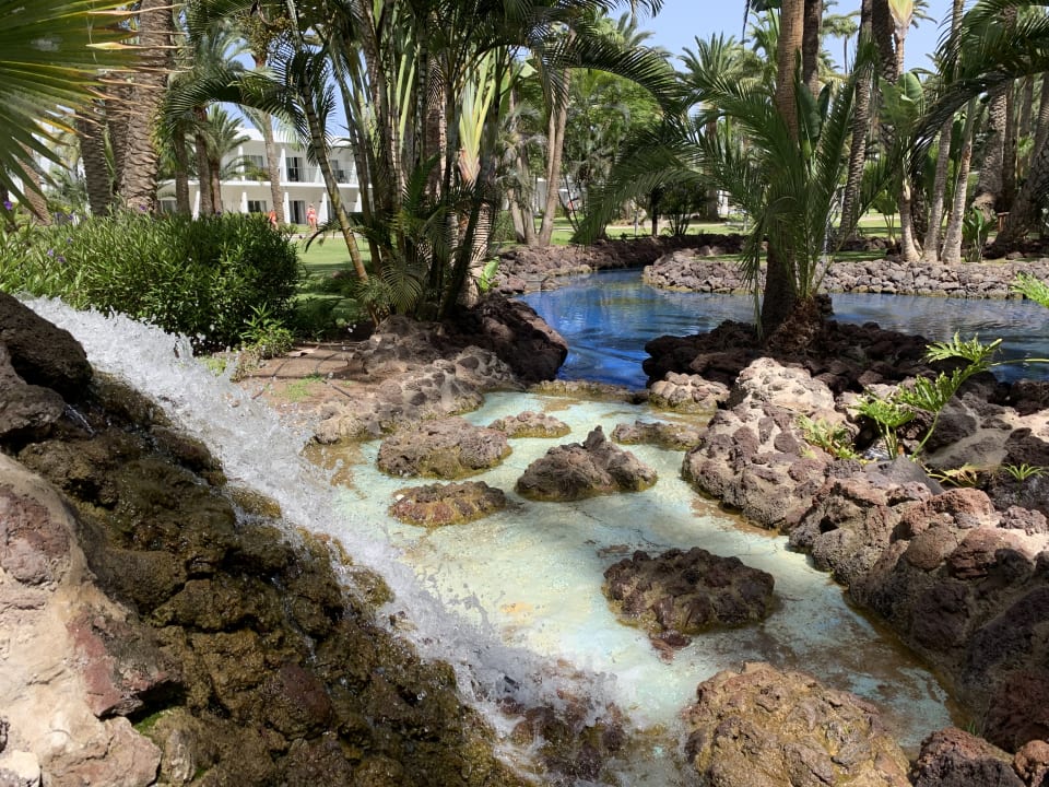 Gartenanlage Hotel Riu Palace Oasis