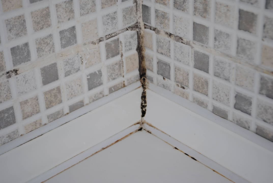 Haare, Schimmel, Dreck, Staub u.s.w. Grand Yazici Club Marmaris Palace