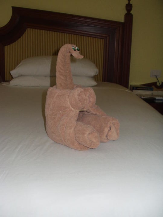 Tägliches Tierchen Hotel Riu Tequila