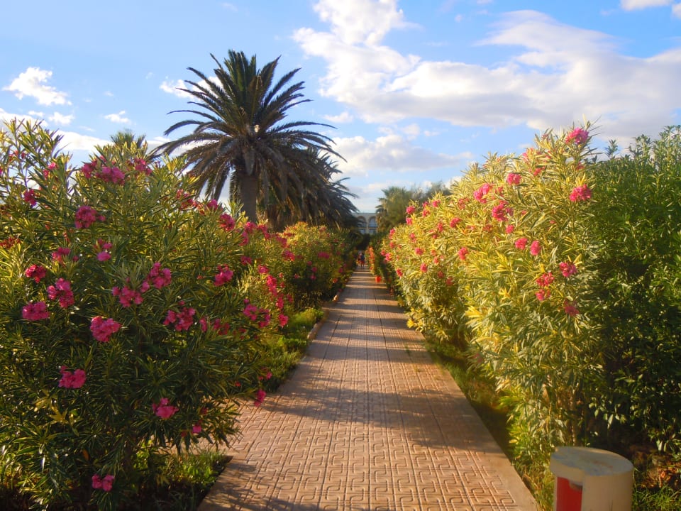 Weg vom Hotel zum Strand Hawai Beach Club