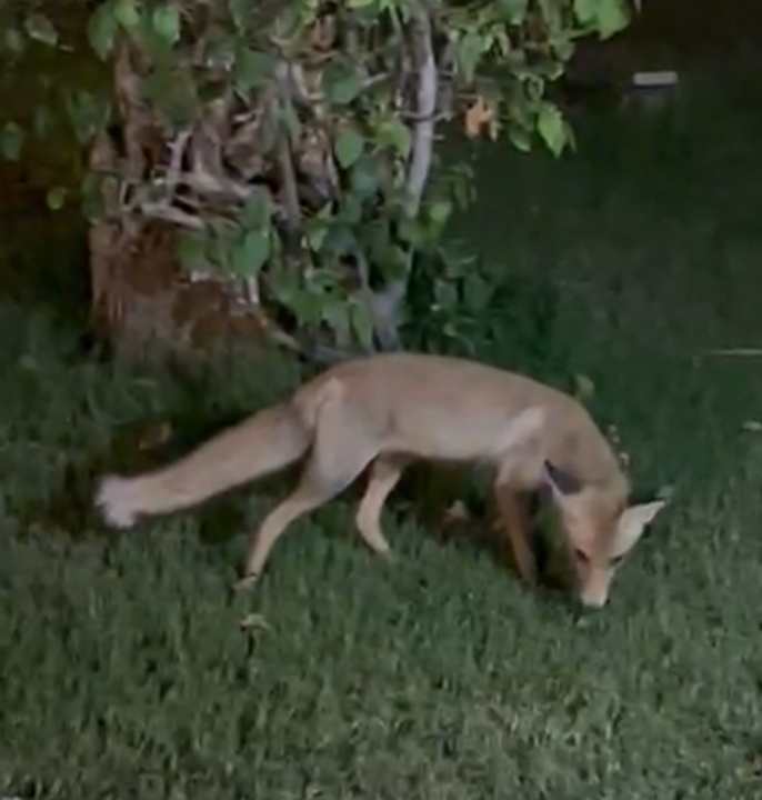 Gartenanlage TUI MAGIC LIFE Kalawy