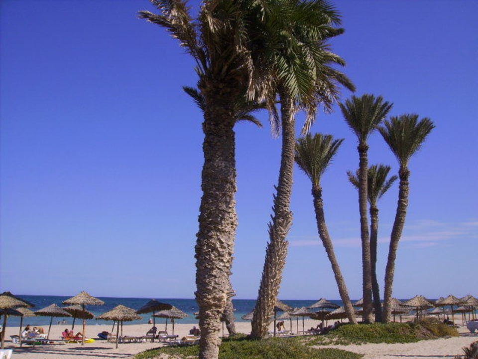 Hotel-Strand Zita Beach Resort