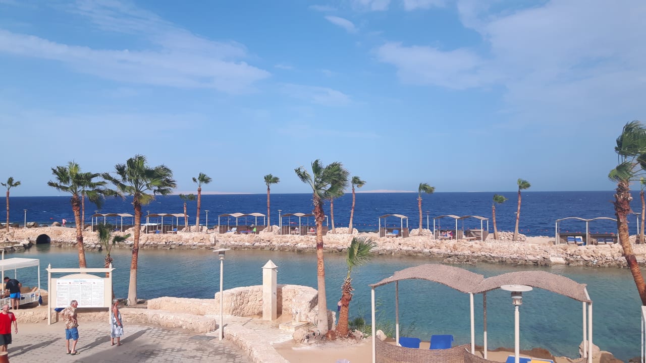 Pool Pickalbatros Citadel Resort