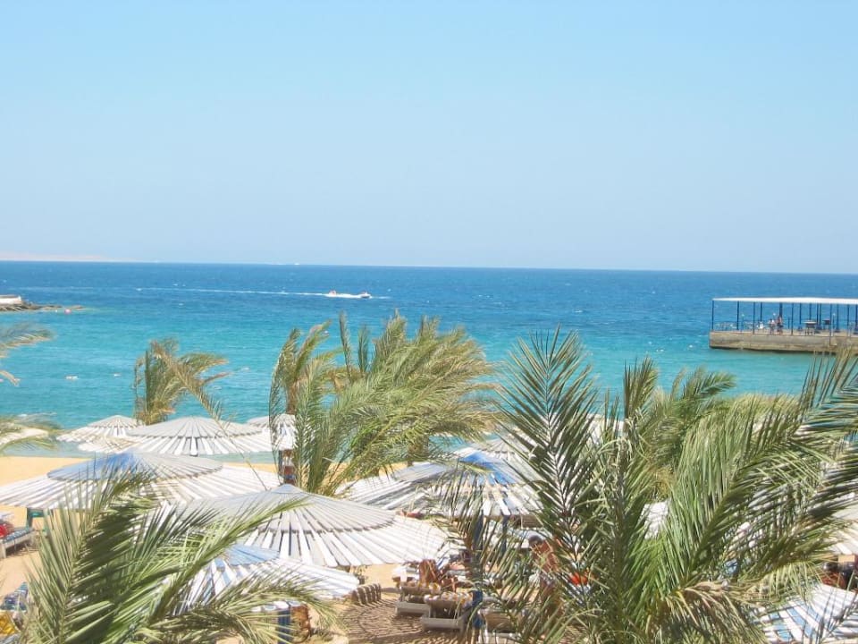 Primasol Beach Albatros Beach Albatros Resort