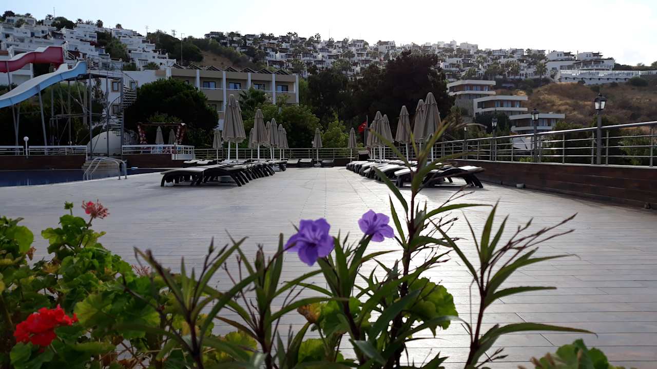 Sonstiges Woxxie Hotel