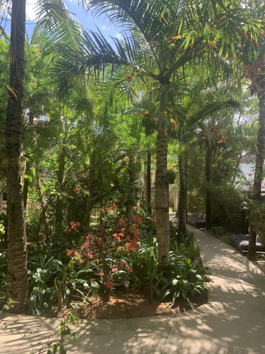 Gartenanlage Friday Attitude