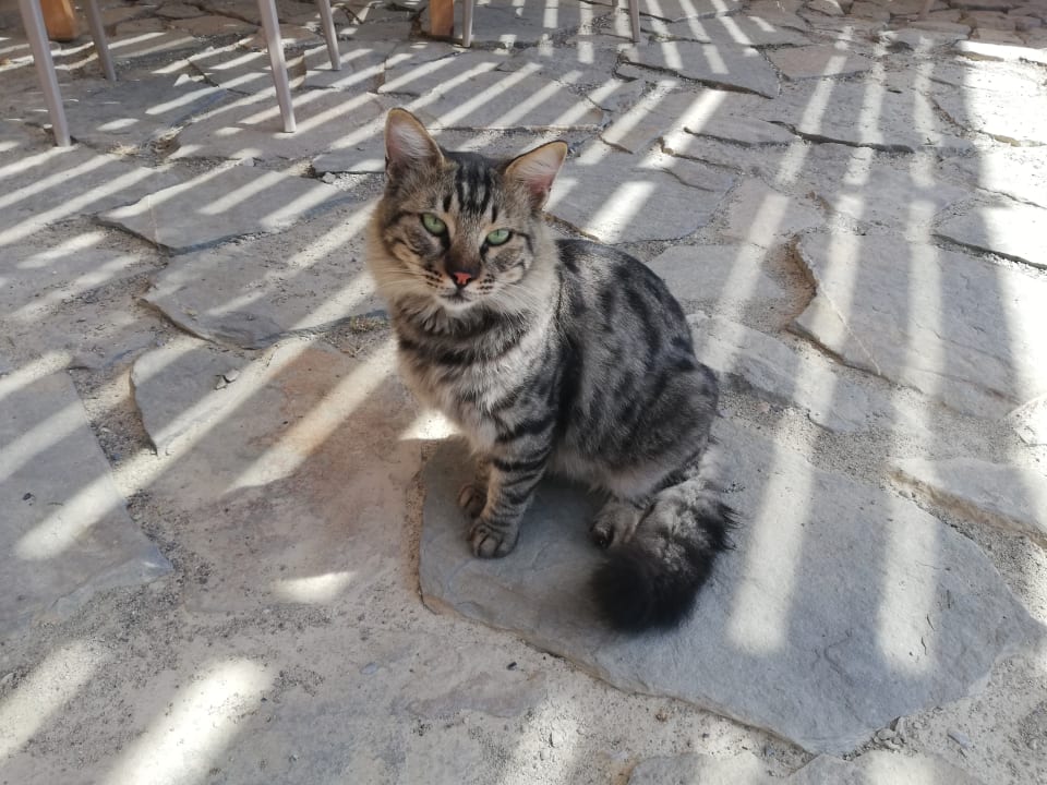 Sonstiges Stone Luxury Suites - Adults Only