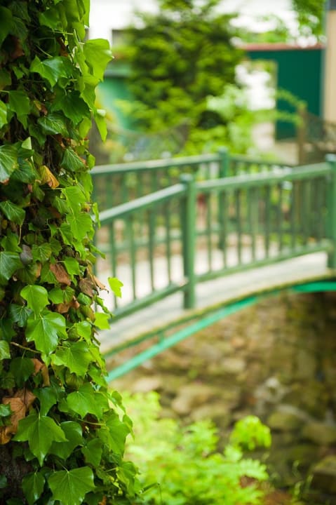 Mostek w ogrodzie Dębowy Dwór