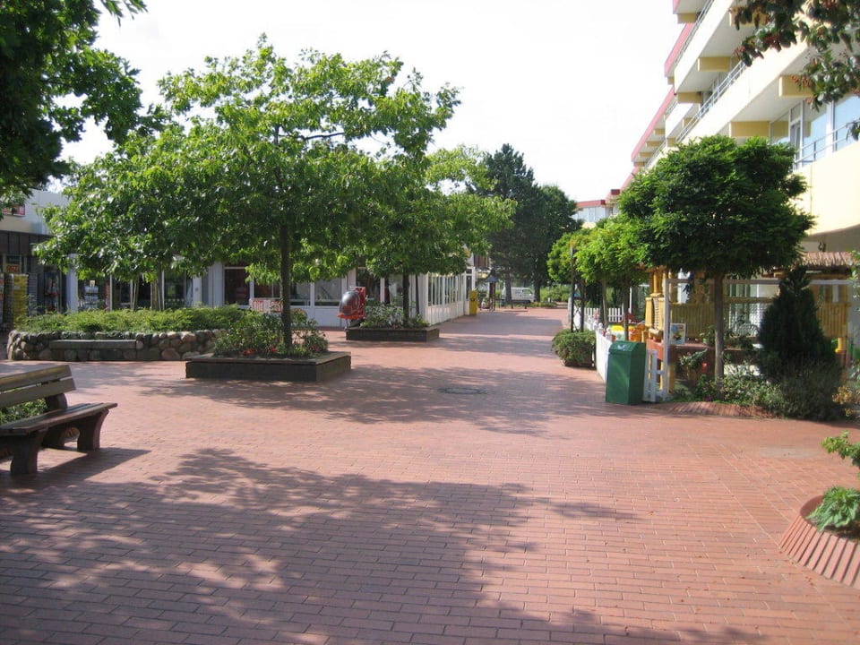 Weg in der Anlage Ferienwohnungen Ferienpark Weissenhäuser Strand