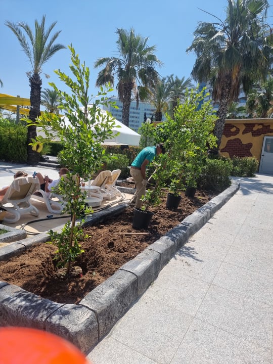 Gartenanlage Royal Wings Hotel