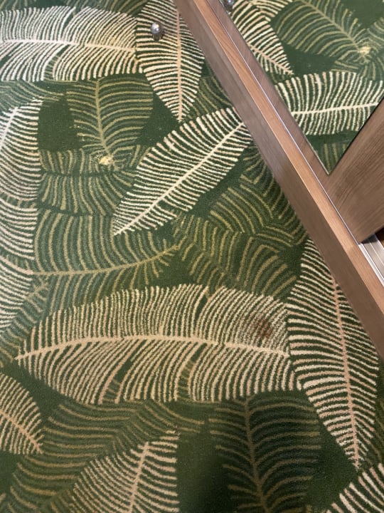 Zimmer Marvida Family Eco