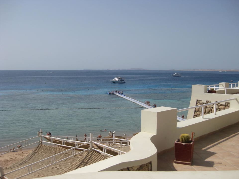 Strand Hotel Reef Oasis Palms