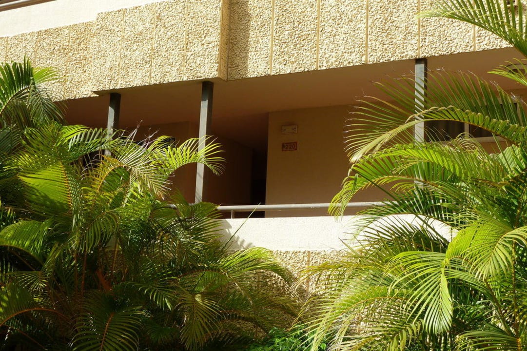 Flure zu den Zimmern Ole Tropical Tenerife