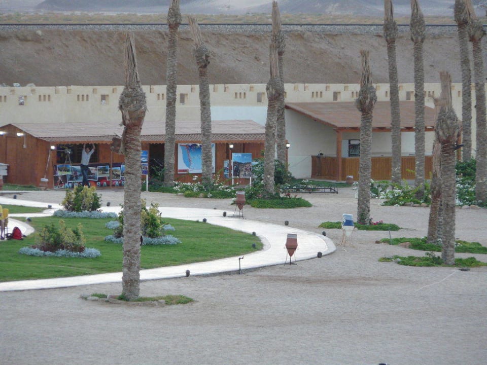 Strandbar Coral Sun Beach
