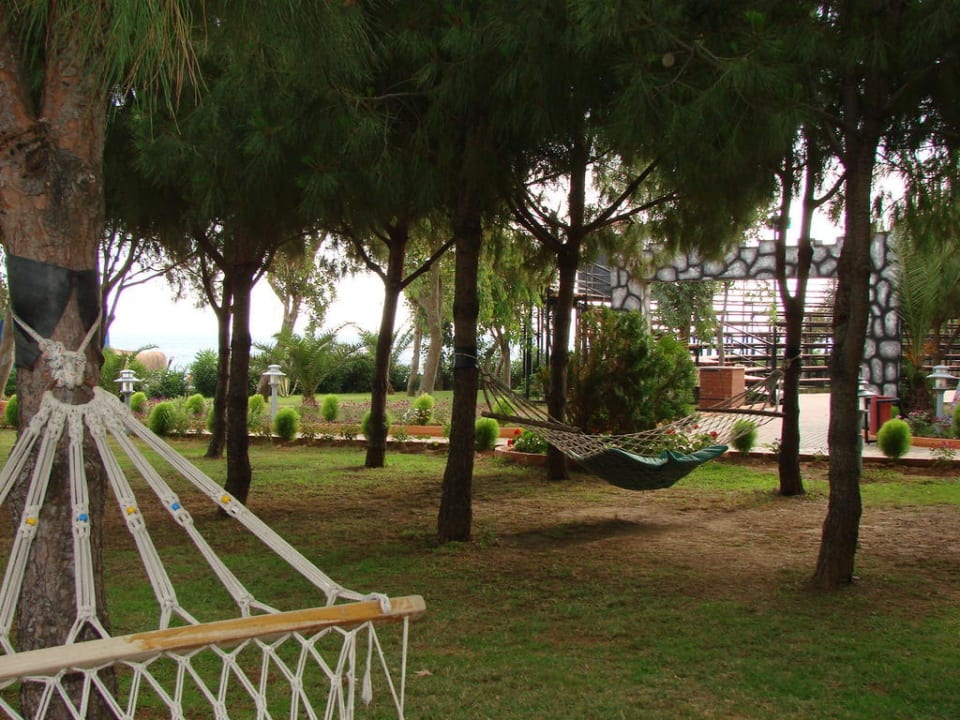 Гамаки в тенечке отеля Club Turtas Beach Hotel