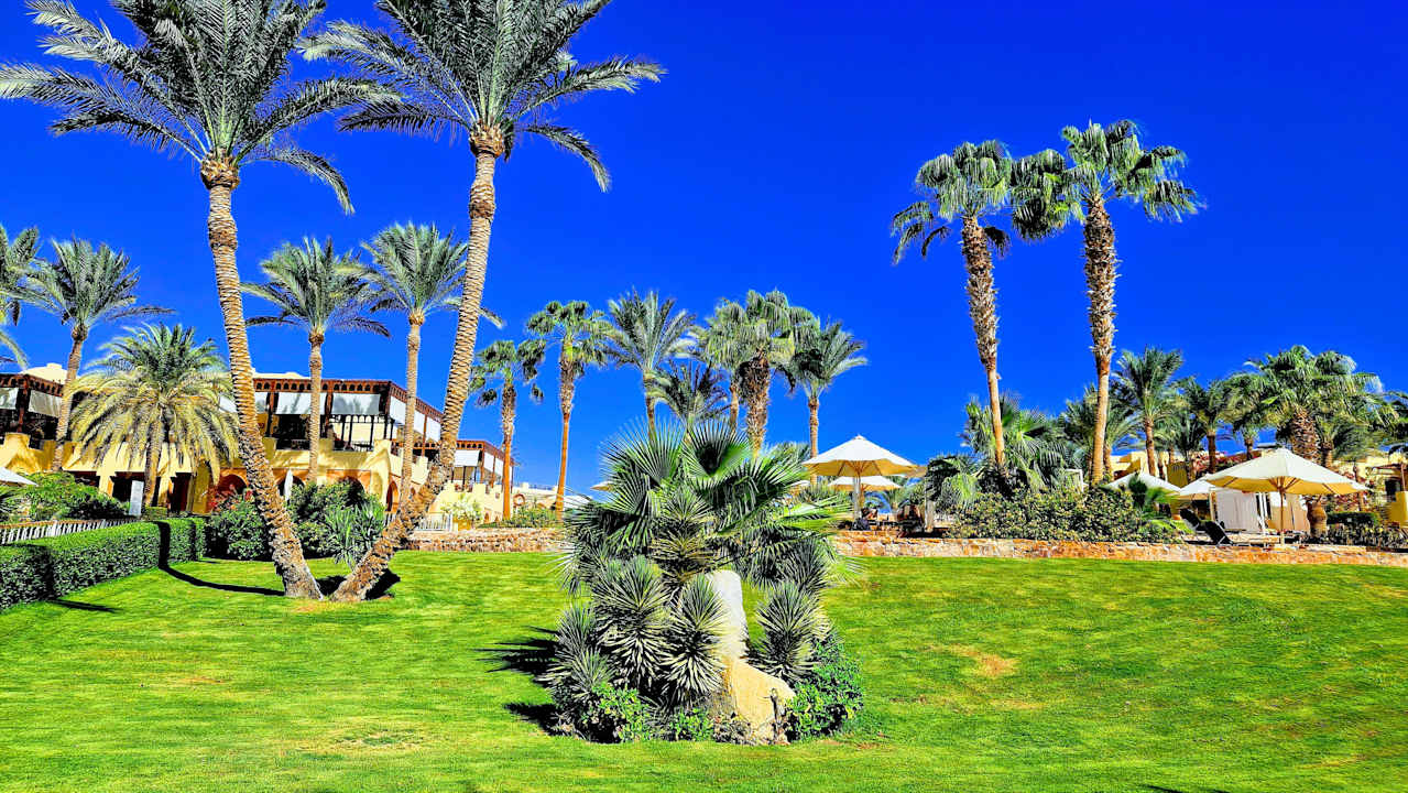 Gartenanlage Steigenberger Coraya Beach - Adults only