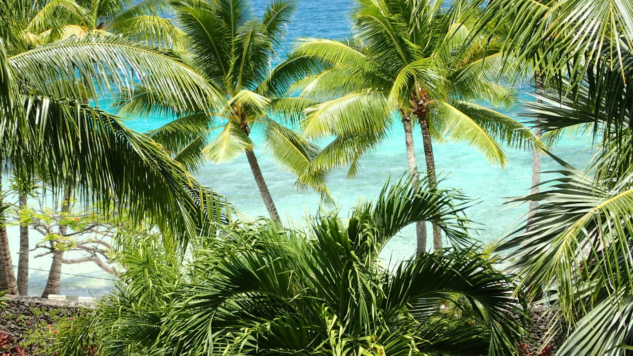 Blick aus dem Hotel (gezoomt) Hotel Le Maitai Polynesia