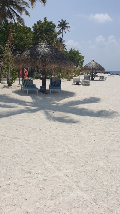 Strand Fihalhohi Maldives