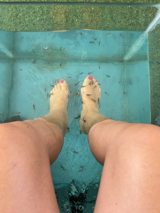 Sport & Freizeit Desert Rose