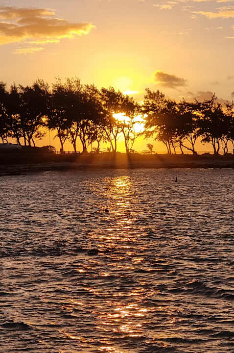 Strand Tropical Attitude - Adults only