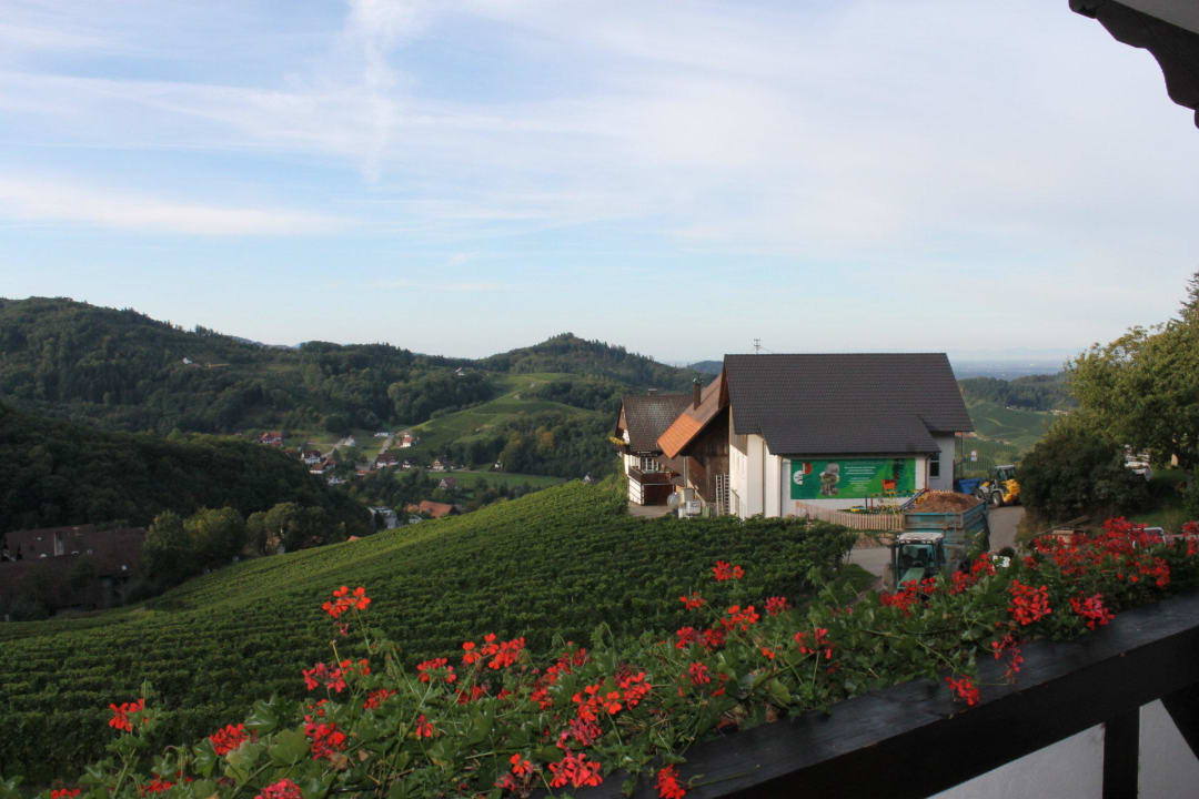 Blick vom Balkon RelaxHotel Tannenhof