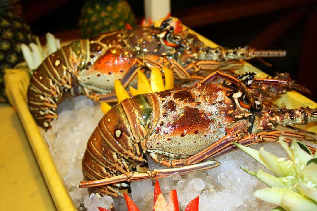 Spezialitäten-Restaurants TRS Turquesa Hotel - Adults only