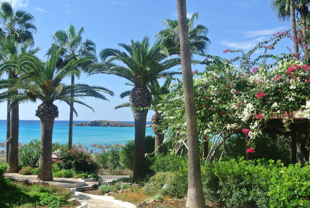 Herrliche Anlage Hotel Nissi Beach Resort