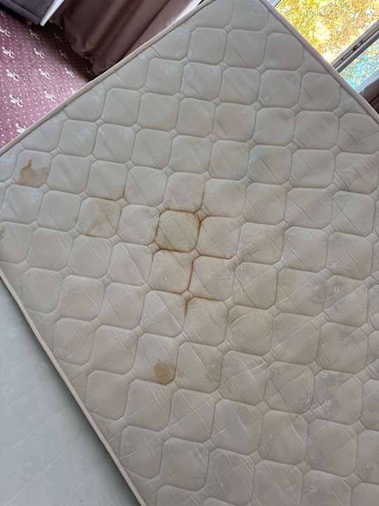 Zimmer SPA Hotel Sirius Beach