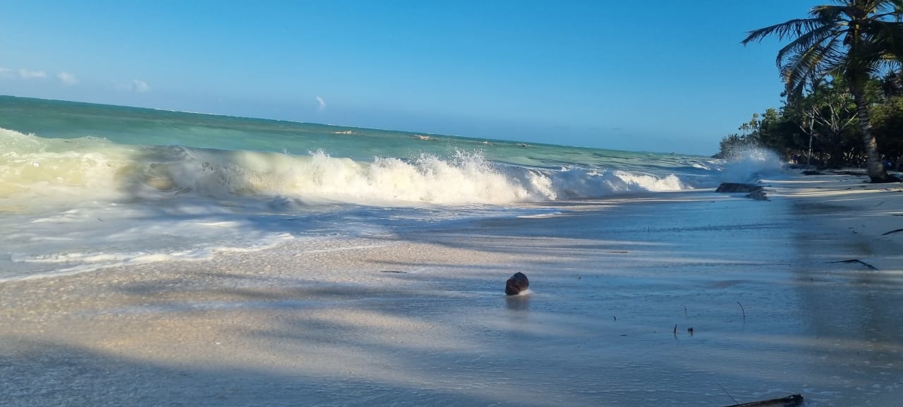 Strand Neptune Pwani Beach Resort & Spa