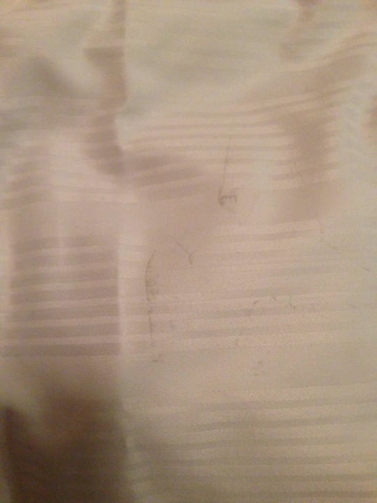 Bettdecke TRYP by Wyndham Luebeck Aquamarin Hotel