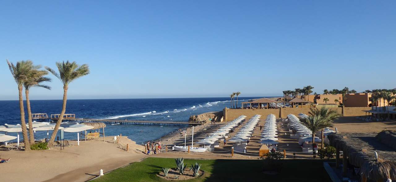 Strand JAZ Neo Reef Marsa