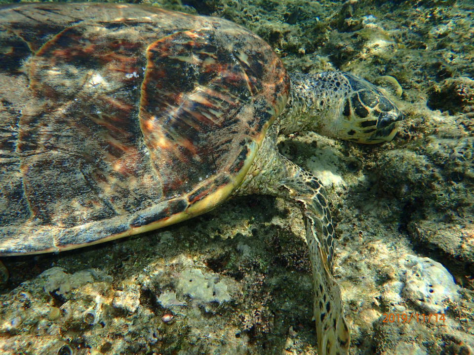 Sport & Freizeit Premier Le Reve Hotel & Spa