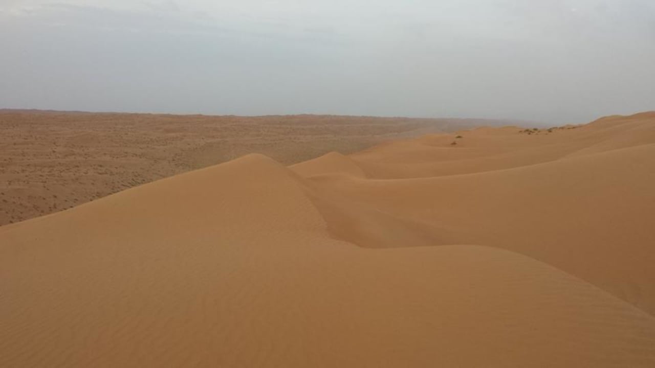 Wüste Tented Camp Arabian Oryx Camp