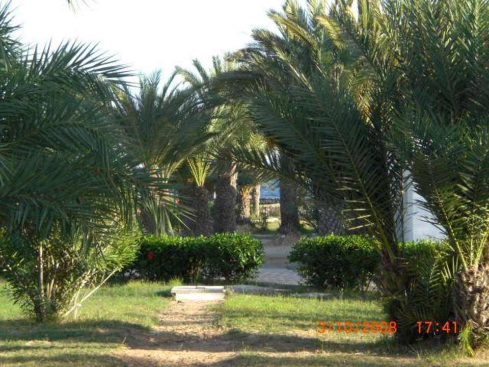 Aussicht vom Zimmer Hotel El Mouradi Djerba Menzel