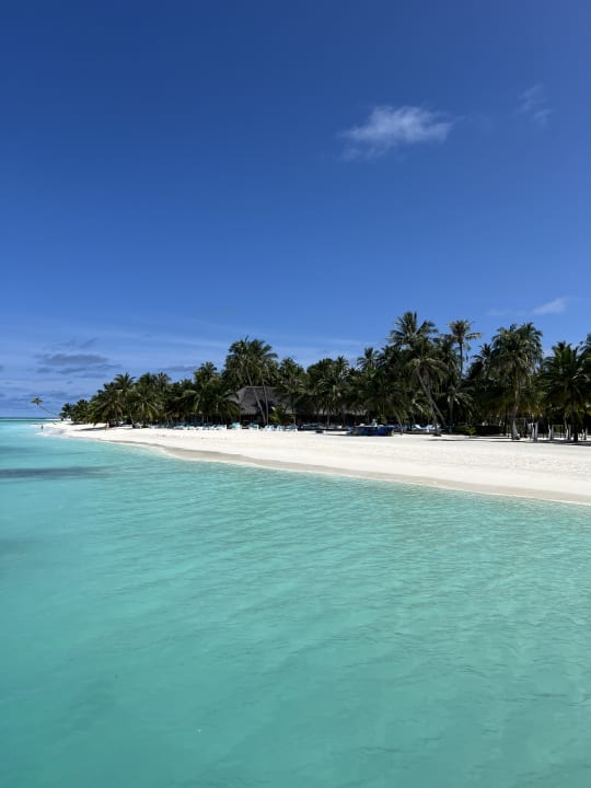 Strand Meeru Maldives Resort Island