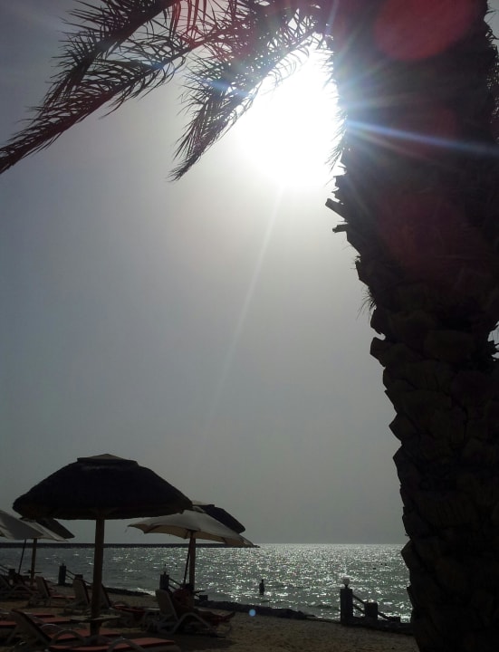 Sonnenuntergang am Strand The Cove Rotana Resort