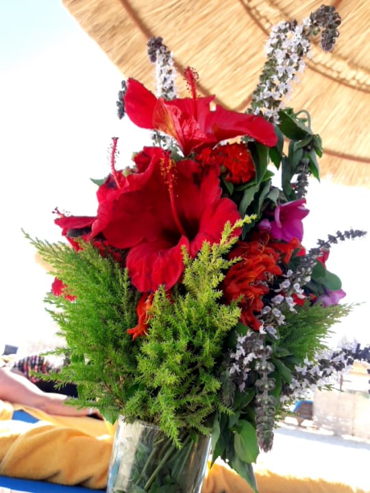 Strand Novotel Marsa Alam Beach Resort