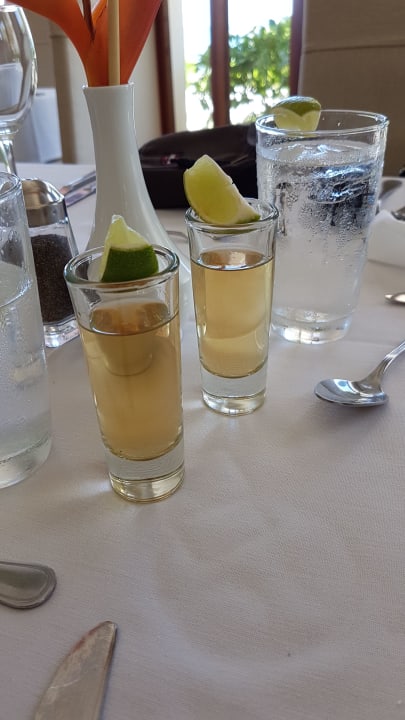 Gastro Akumal Bay Beach & Wellness Resort