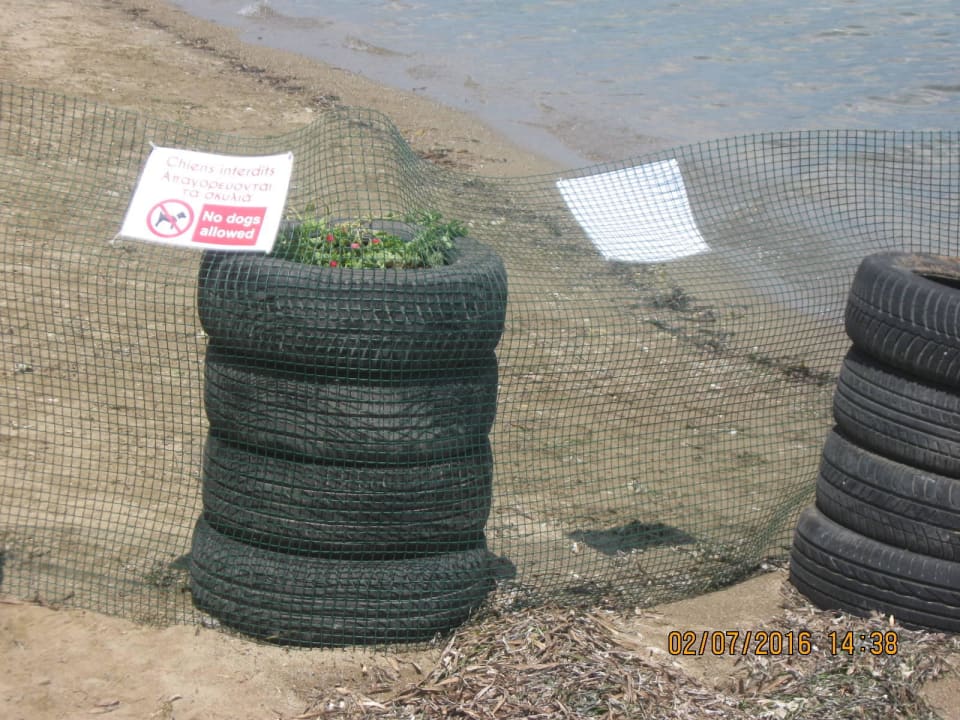 Zutritt zu der freilaufende Hunde verboten Brown Beach Eretria