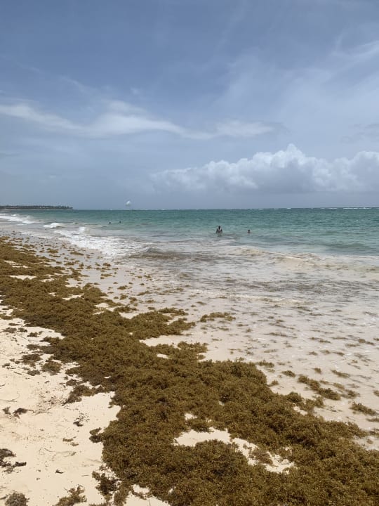 Strand Grand Palladium Select Bávaro Resort & Spa